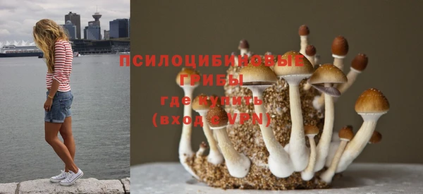 амф Абаза