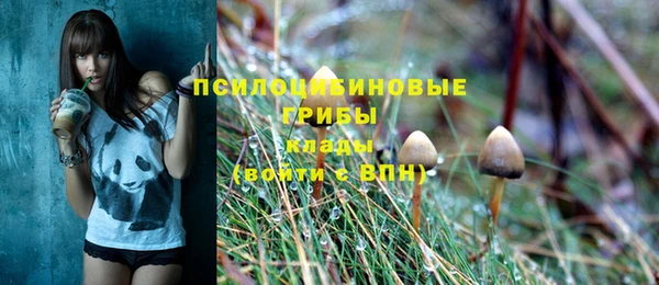 apvp Абдулино
