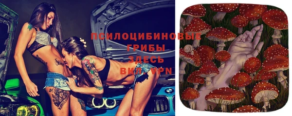 мяу мяу мука Переславль-Залесский