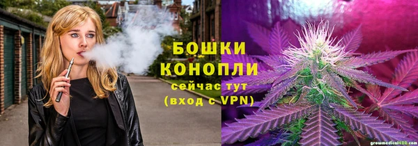 сатива Абинск