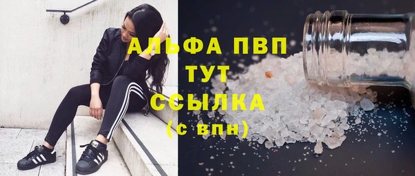 сатива Абинск